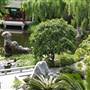 Chinese Garden of Friendship - Darling Harbour