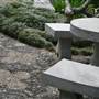 Chinese Garden of Friendship - Darling Harbour