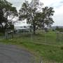 Jamberoo Farm