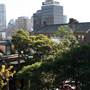 Darlinghurst - Forbes St, Thomson Lane, St Peters Lane