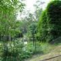 Bamboo Wholesale