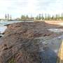 Kiama - Rock Pool North