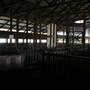 Deeargee Woolshed