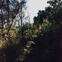 Deep Creek Reserve