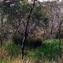 Deep Creek Reserve