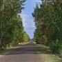 Denman Area