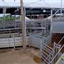 Dubbo Saleyards