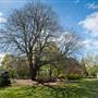 Lady Fairfax Gardens
