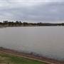 Lake Albert