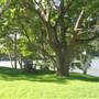 Private House - Cliftonville