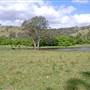 Dungog Area