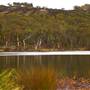Dunns Swamp