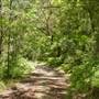 Lane Cove National Park