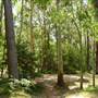 Lane Cove National Park