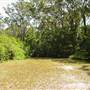 Lane Cove National Park