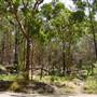 Lane Cove National Park