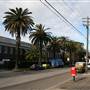 Marrickville - Carrington Road