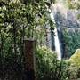 Ellenborough Falls