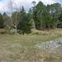 Berrima - Southern Highlands