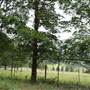 Berry Area Farms