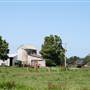 Berry Area Farms