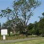Berry Area Farms