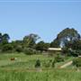 Berry Area Farms