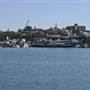 Glebe Foreshore Parks