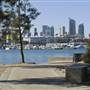 Blackwattle Bay Park