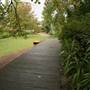 Loreto, Normanhurst