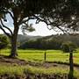 Jamberoo
