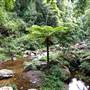 Jamberoo