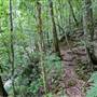 Jamberoo