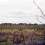 Bourke & Environs