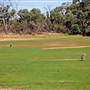 Bourke & Environs