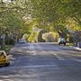 Bowral - Southern Highlands