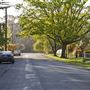 Bowral - Southern Highlands