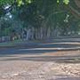Briemba St, Grafton