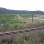 Broke vineyards