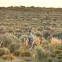 BROKEN HILL - Town & Surrounds