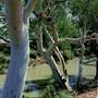 Broken Hill Area (Inc. Silverton)