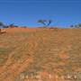 Broken Hill Sand Dunes