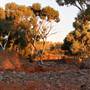 BROKEN HILL SURROUNDS 2012