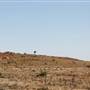 BROKEN HILL, OUTCROPS & SURROUNDS 2012
