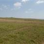 Brooks Point