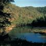 Burrawang - Southern Highlands