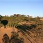 Byron Hinterland-Hot Air Balloon