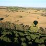 Byron Hinterland-Hot Air Balloon