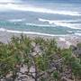 Cabarita Beach (Bogangar)