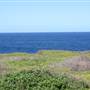Cape Banks